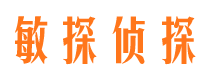 吉安捉小三公司